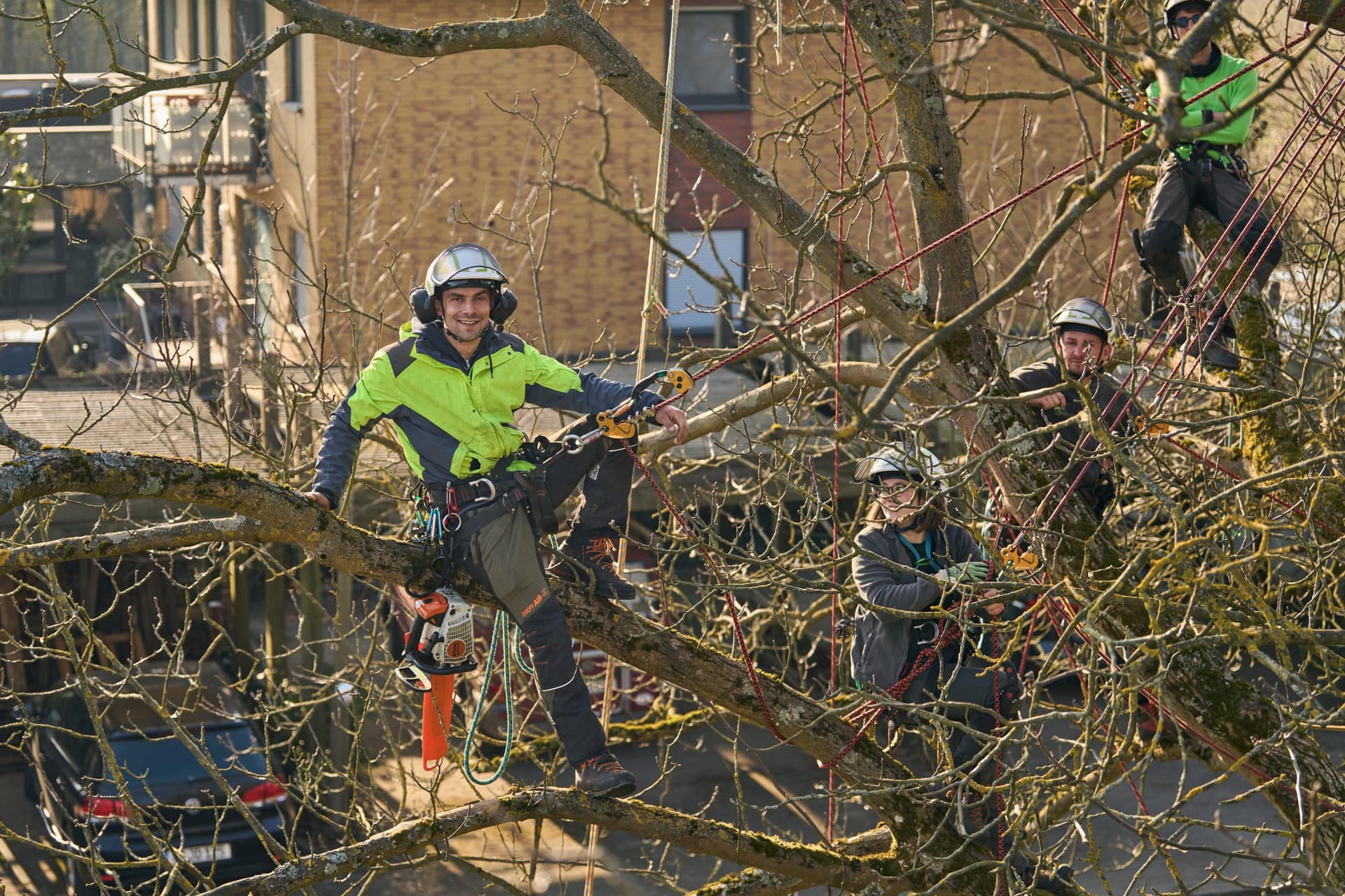 Baumfällung & Sturmschadenbeseitigung